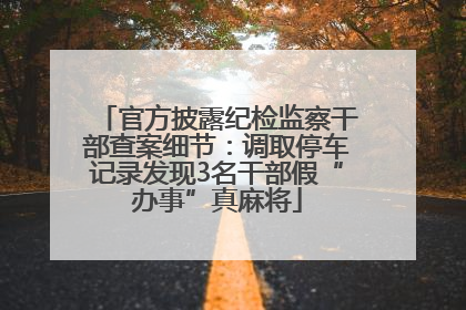 官方披露纪检监察干部查案细节：调取停车记录发现3名干部假“办事”真麻将